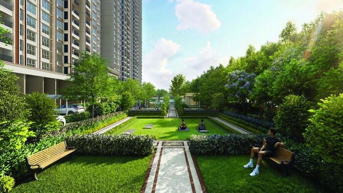 Yoga and wellness lawn
